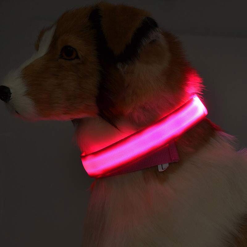 Adjustable LED Dog Collar – Bright Glowing Pet Collar for Night Walk Safety & Visibility