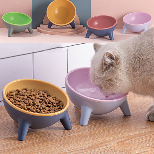 Elevated Cat & Dog Bowl with Stand