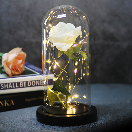 Enchanted Forever Rose LED Glass Dome – Christmas Romantic Holiday Decoration Gift