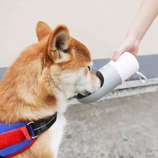 Pet Travel Water Bottle – Portable, Splash-Proof Hydration On-the-Go