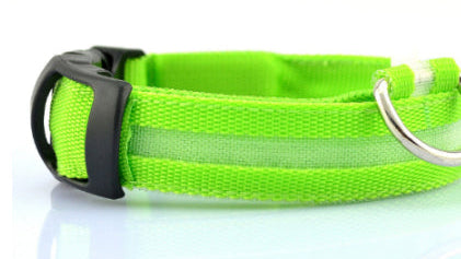 LED Dog Collar for Night Safety | USB Rechargeable Glow in Dark Pet Collar