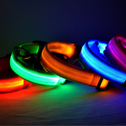Adjustable LED Dog Collar – Bright Glowing Pet Collar for Night Walk Safety & Visibility