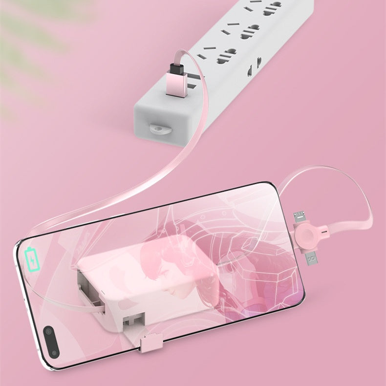 Portable 4 in 1 USB Charging Cable –  Travel Organizer Charger