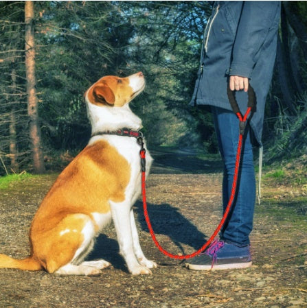 Adjustable Reflective Dog Leash – Durable Nylon Lead for Safe Night Walking