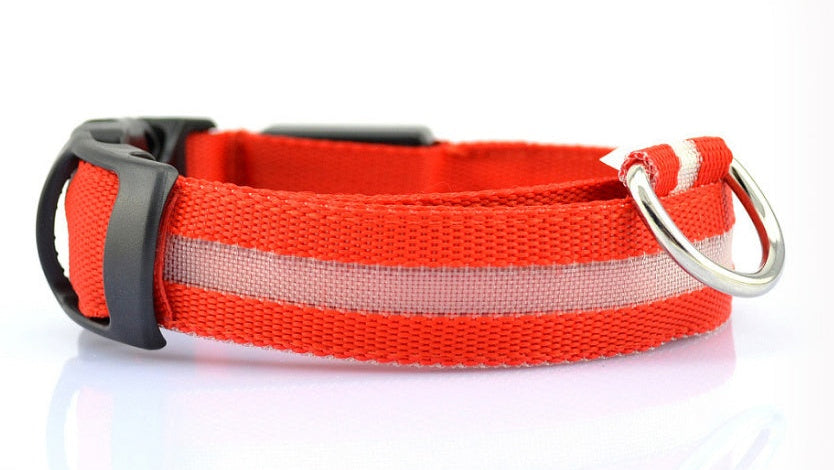Adjustable LED Dog Collar – Bright Glowing Pet Collar for Night Walk Safety & Visibility