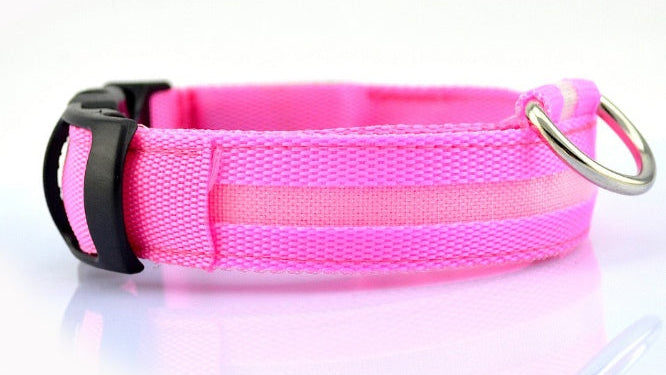 LED Dog Collar for Night Safety | USB Rechargeable Glow in Dark Pet Collar