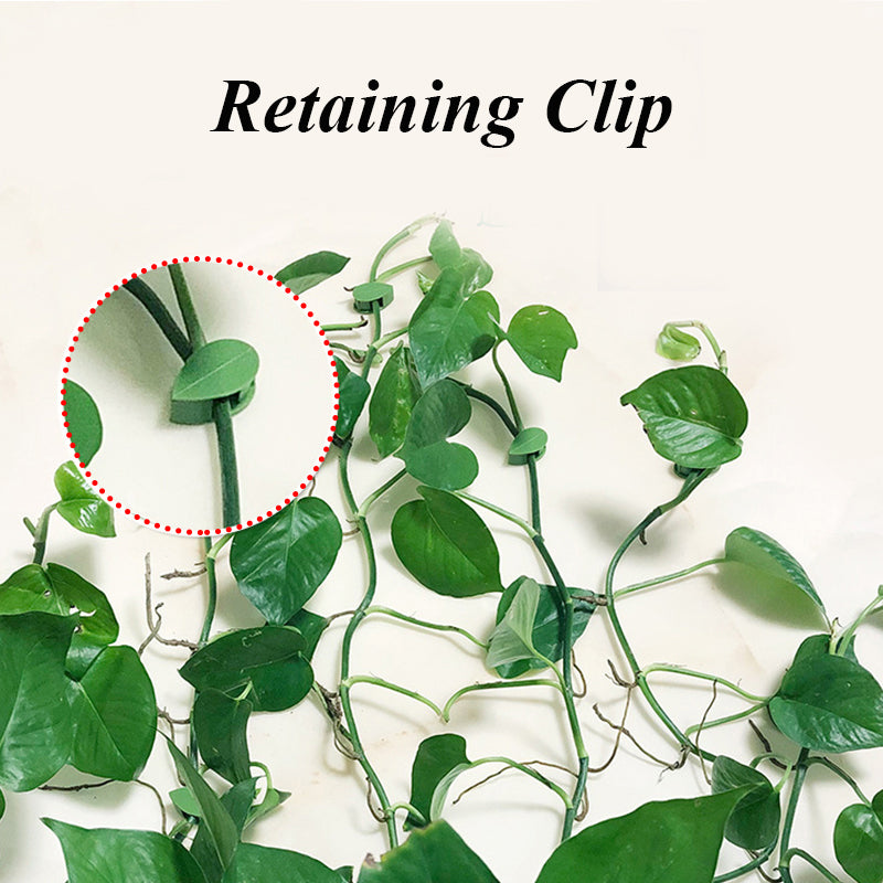 Garden Plant Climbing Clips – Self Adhesive Wall Fixer for Vines, Flowers & Green Plants