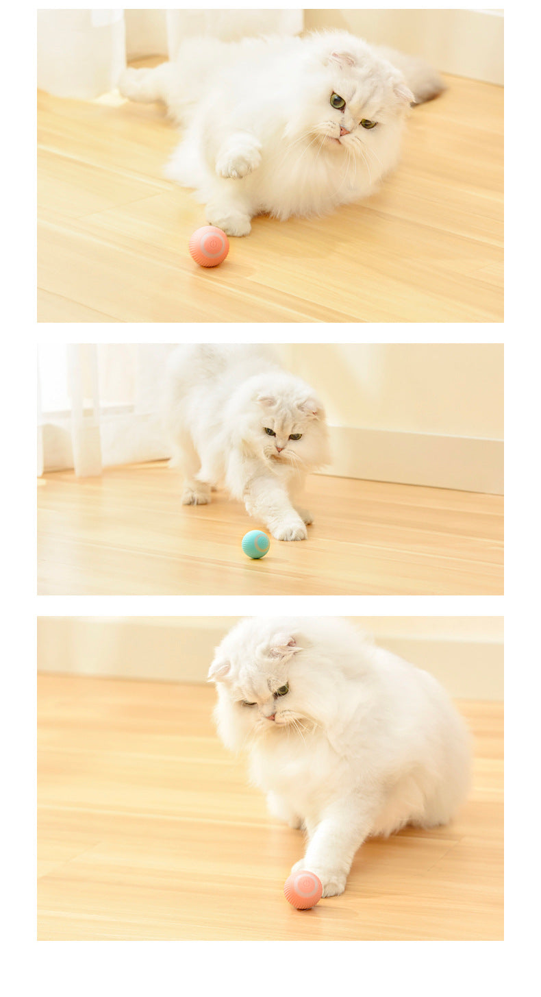 Smart Interactive Cat Ball – Automatic Rolling Toy for Bored Indoor Cats & Kittens