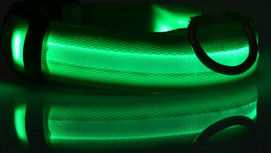 Adjustable LED Dog Collar – Bright Glowing Pet Collar for Night Walk Safety & Visibility