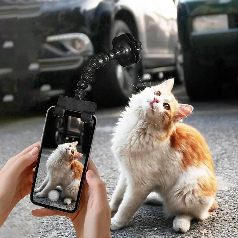 Must-Have Pet Photography Tool – Cat Dog Selfie Camera Phone Holder