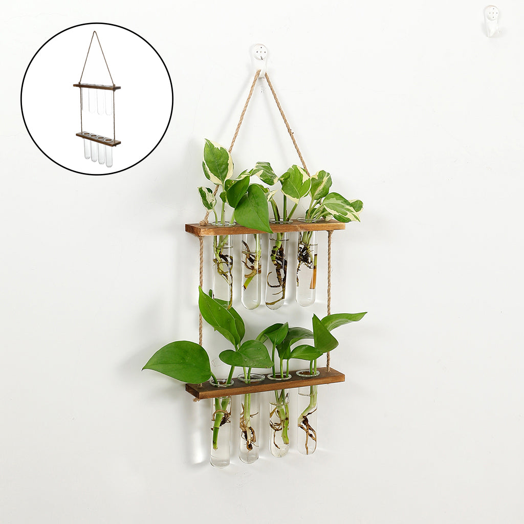 Hanging Glass Plant Propagator – Modern Wall Planter for Home & Office Decor