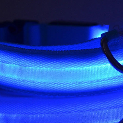 Adjustable LED Dog Collar – Bright Glowing Pet Collar for Night Walk Safety & Visibility