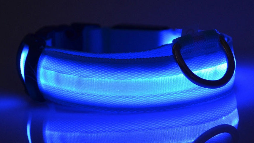 Adjustable LED Dog Collar – Bright Glowing Pet Collar for Night Walk Safety & Visibility