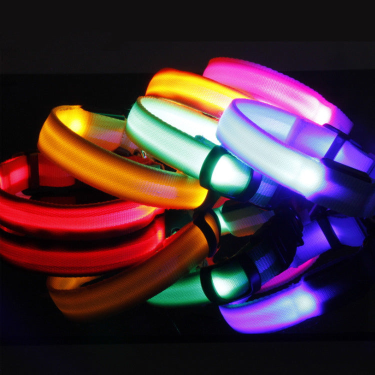 LED Dog Collar for Night Safety | USB Rechargeable Glow in Dark Pet Collar