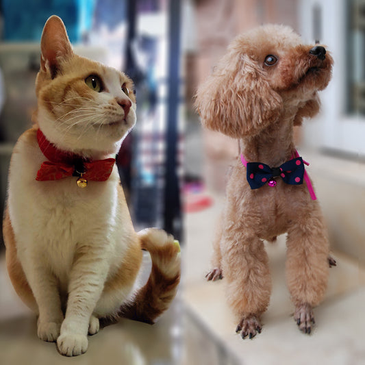Fashion Pet Bow Tie – Cute Dog & Cat Collar Accessory for Everyday Style