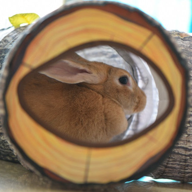Interactive Pet Tunnel Toy – Tree Pattern Play Tube for Cats & Dogs
