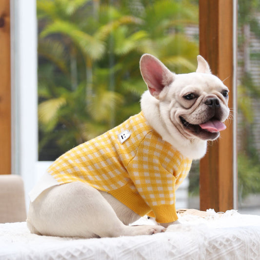 Warm Pet Clothing for Dogs & Cats – Cozy Winter Apparel for Small Pets