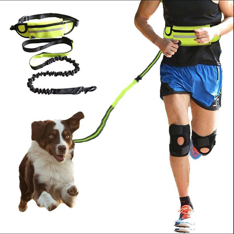 Hands Free Dog Running Leash – Shock Absorbing Waist Belt for Medium & Large Dogs