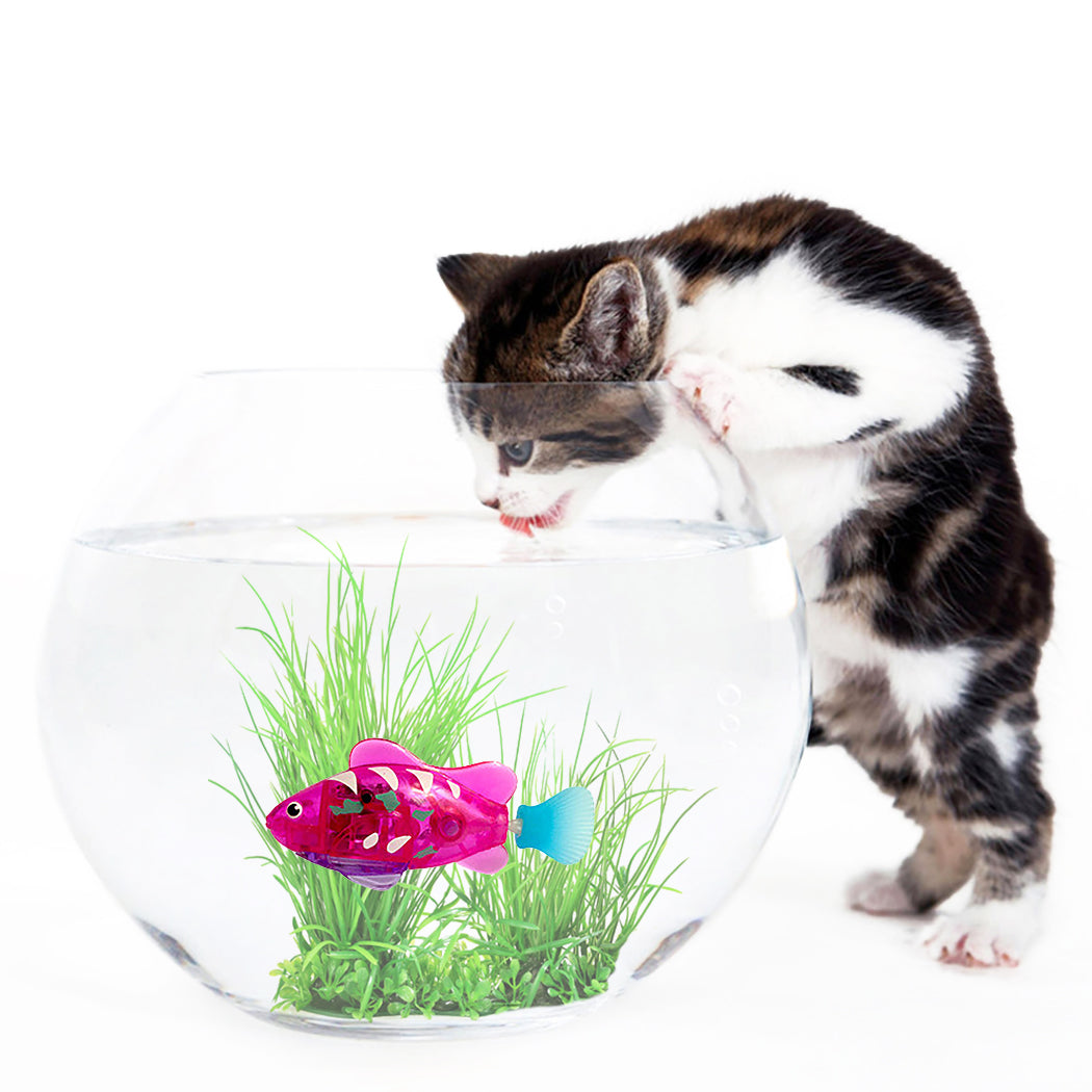 Electronic Cat Fish Toy – LED Light Interactive Play for Happy Cats