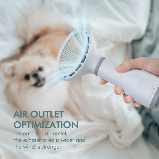 Portable Pet Grooming Dryer Brush Dog Hair Dryer Slicker Brush Low Noise Drying Kit