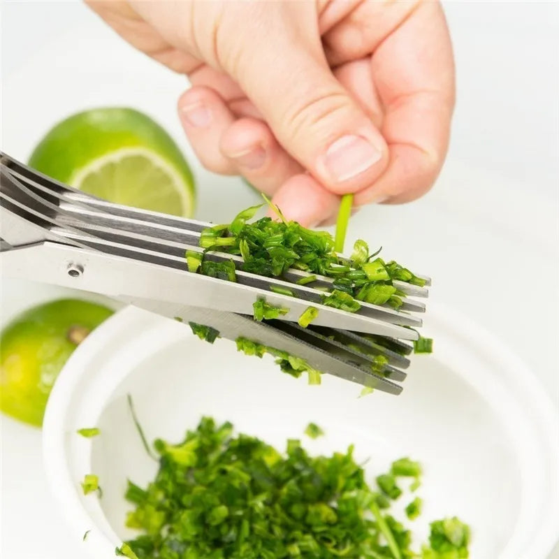 Fast Chop Kitchen Herb Scissors – Multi-Layer Stainless Steel Green Onion & Seaweed Cutter Tool