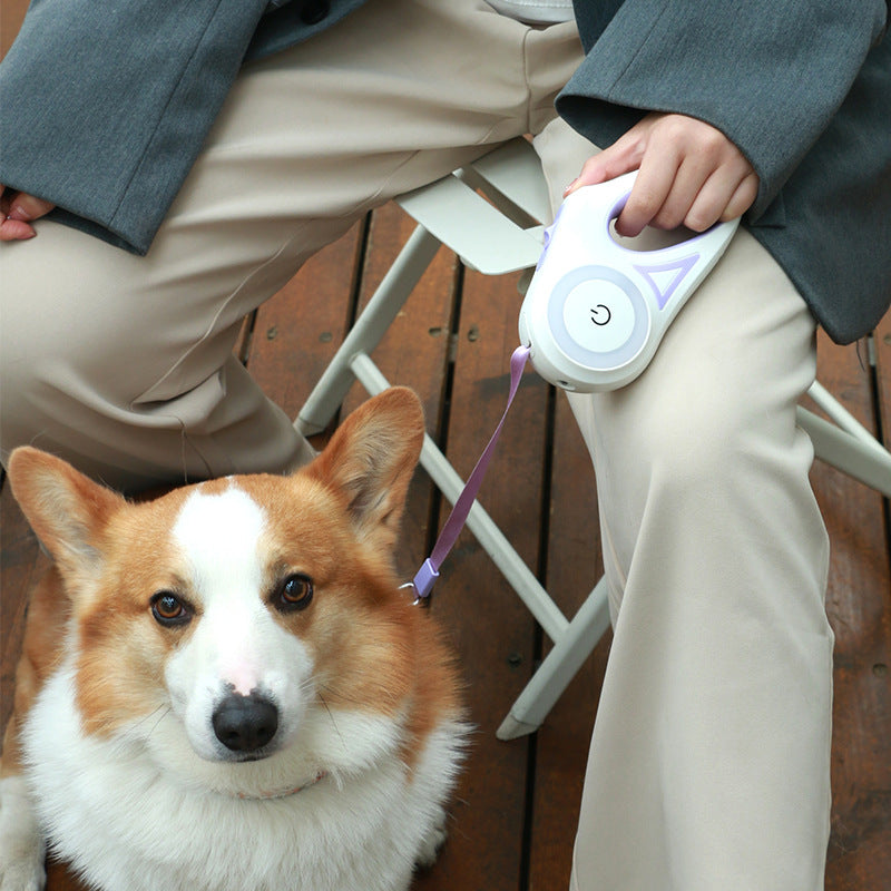 Rechargeable LED Retractable Dog Leash | Safe Night Walking Pet Leash