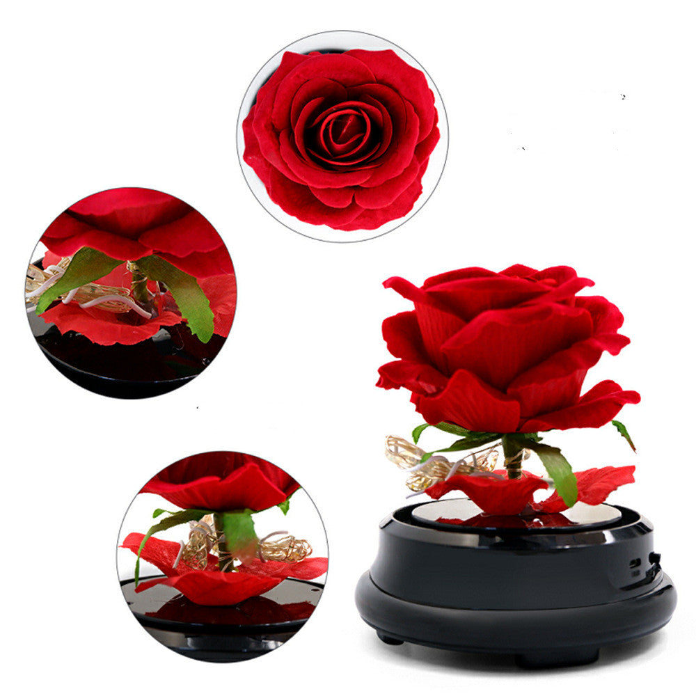 Elegant Forever Preserved Rose Gift for Mother’s Day – Real Dried Flower