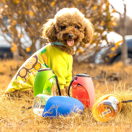 2-in-1 Portable Dog Water Bottle & Bowl – No-Spill Pet Hydration Dispenser
