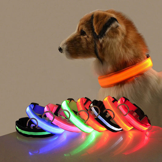 LED Dog Collar for Night Safety | USB Rechargeable Glow in Dark Pet Collar