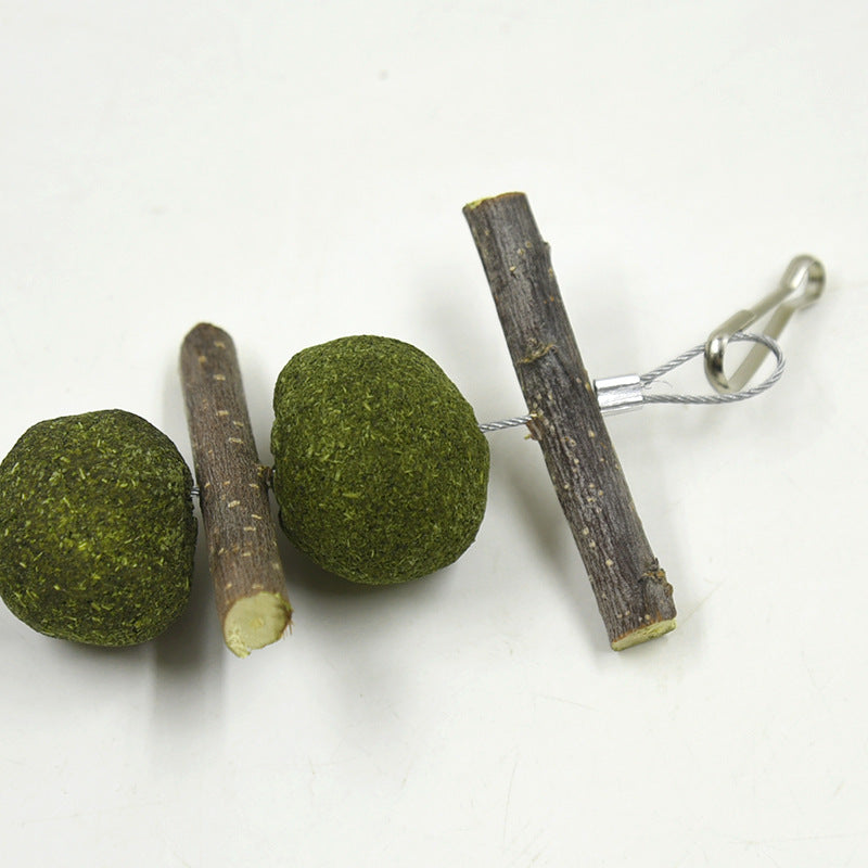 Pet Molar Chew Toy – Natural Dental Care for Dogs & Puppies