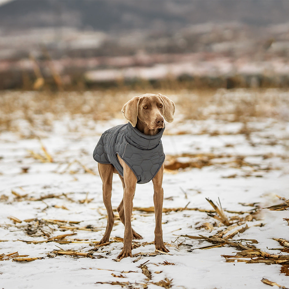 Outdoor Dog Winter Jacket Thickened Warm Coat – Waterproof Pet Clothing