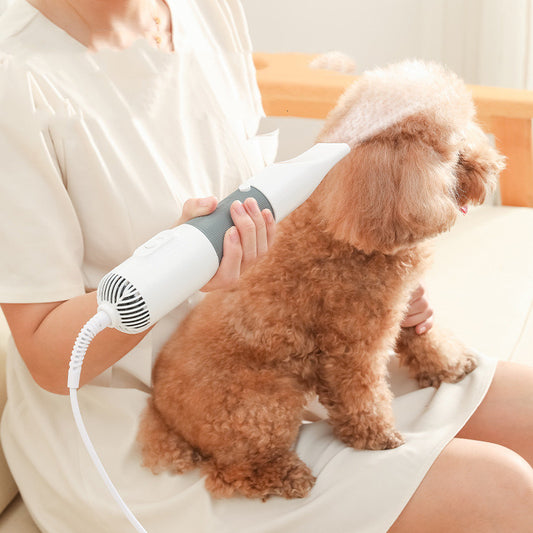 Electric Dog Cat Grooming Dryer Brush 2-in-1 Pet Hair Pulling Drying Comb Tool