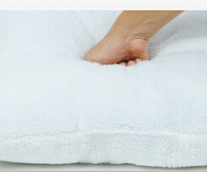 Interactive Pet Toy – Cat and Small Dog Play & Exercise Toy