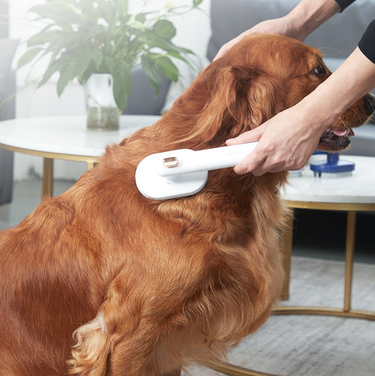 Self-Cleaning Pet Hair Brush – Grooming Tool for Cats and Dogs