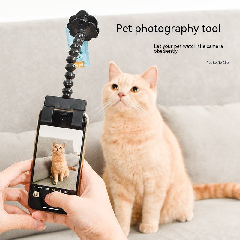 Must-Have Pet Photography Tool – Cat Dog Selfie Camera Phone Holder