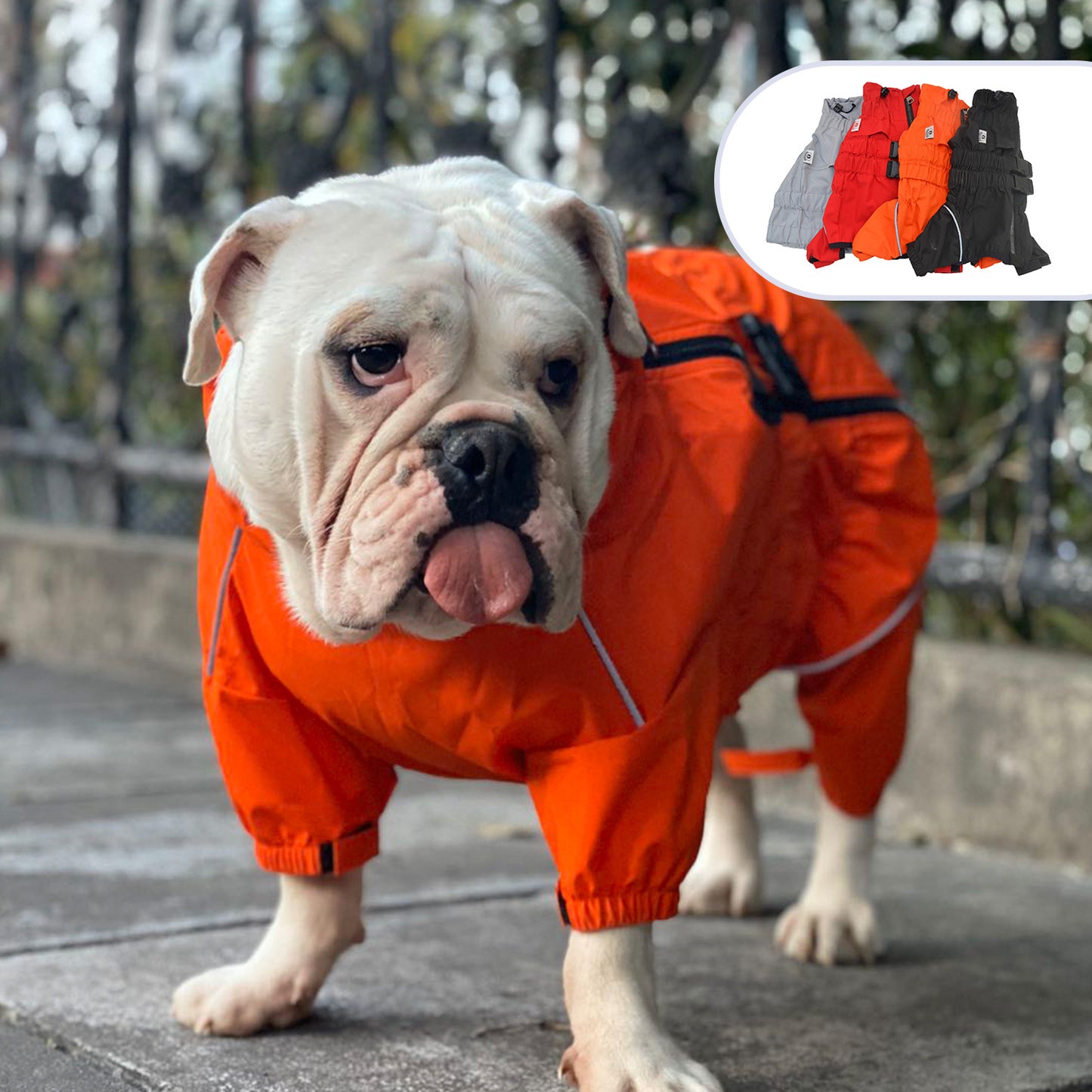 Pet Dog Raincoat – Waterproof Four-Legged Outdoor Jacket for Small & Large Dogs