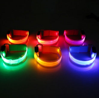 LED Dog Collar for Night Safety | USB Rechargeable Glow in Dark Pet Collar