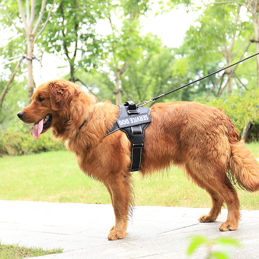 No Pull Personalized Dog Harness – Custom Name Pet Vest