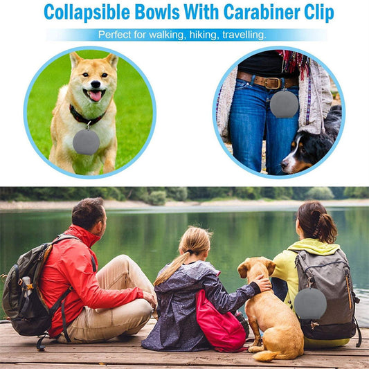 Portable 2-in-1 Dog Bowl – Foldable Double Pet Feeder for Food & Water