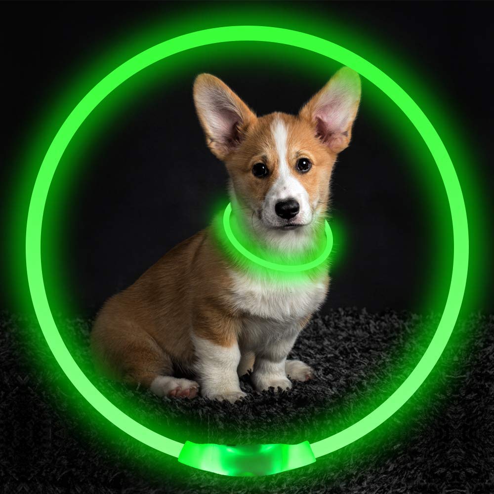 USB Rechargeable LED Pet Collar – Flashing Glowing Dog Necklace for Safe Night Walks