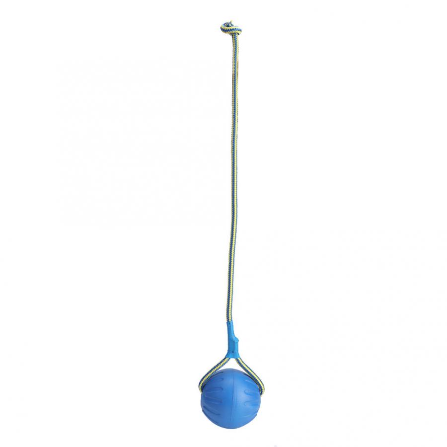 Dog Training Bouncing Ball Toy – Interactive Chew Toy for Puppies & Large Dogs