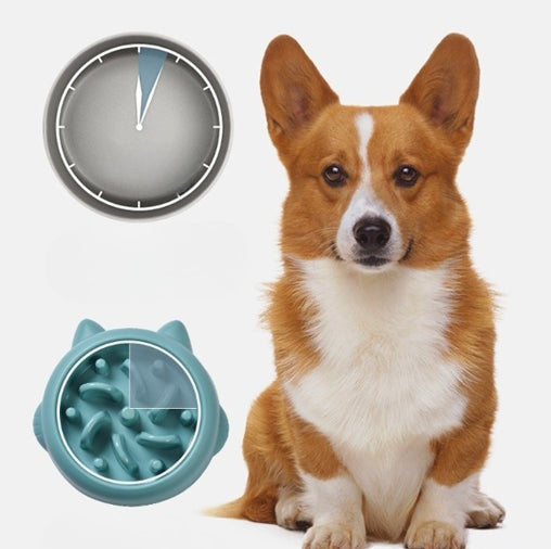 Slow Feeder Bowl for Dogs & Cats – Anti-Gulping Design for Healthy Weight & Safe Eating