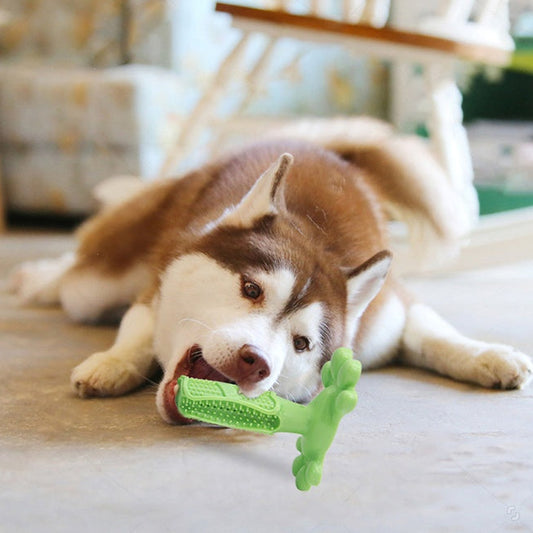 Dog Dental Cleaning Toy Molar Chew – Strong Chewer Teeth Care Pet Accessory