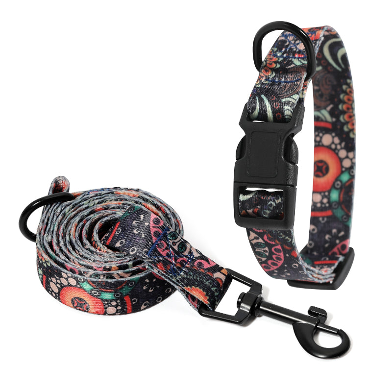 Heavy Duty Dog Collar and Leash Set Pet Walking Control Training Collar Lead