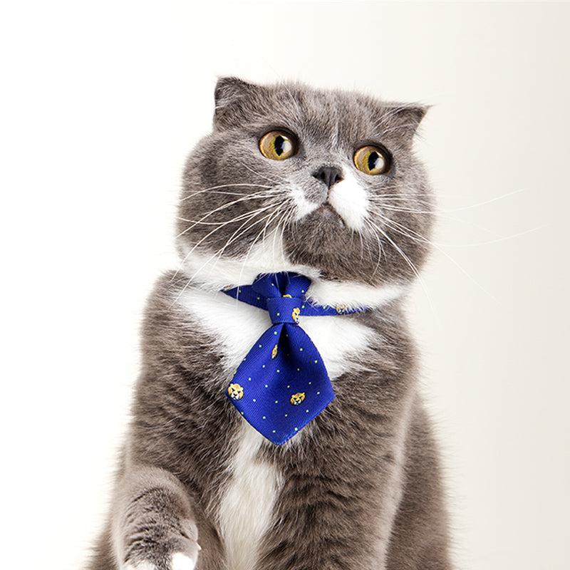 Elegant Pet Bow Tie Collar – Stylish Dog Accessory