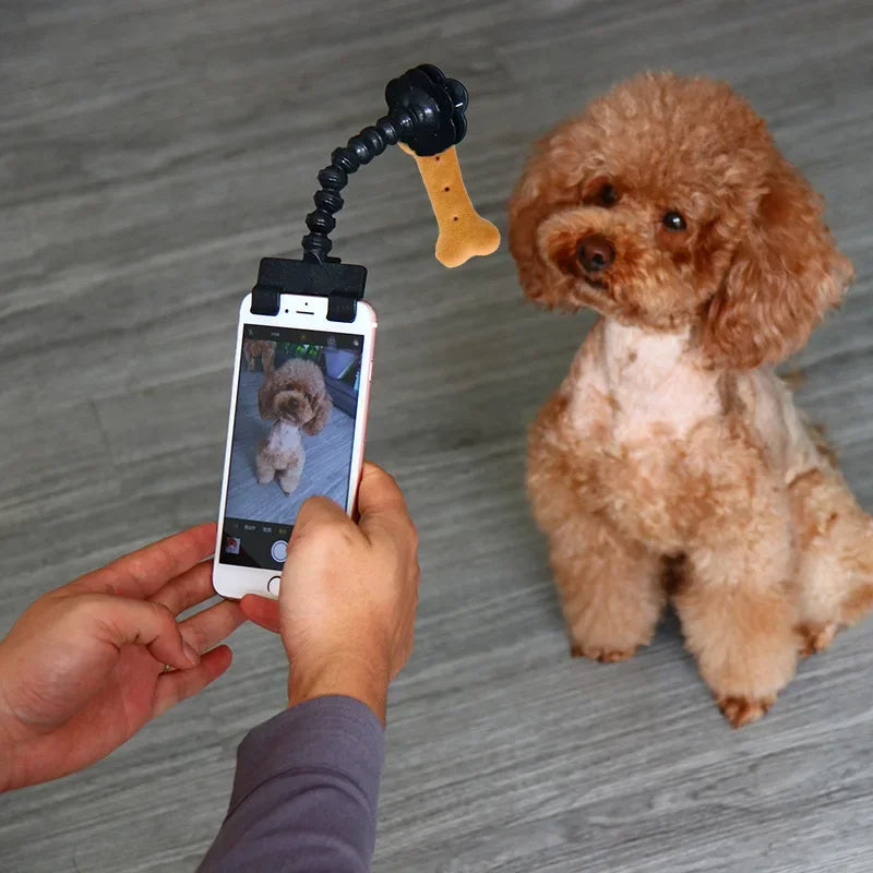 Must-Have Pet Photography Tool – Cat Dog Selfie Camera Phone Holder