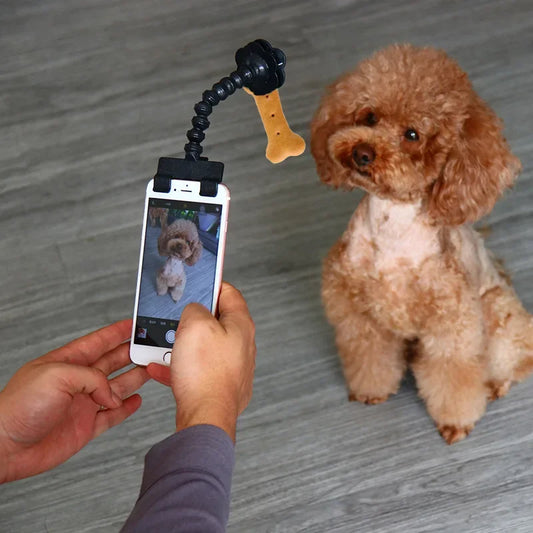 Must-Have Pet Photography Tool – Cat Dog Selfie Camera Phone Holder
