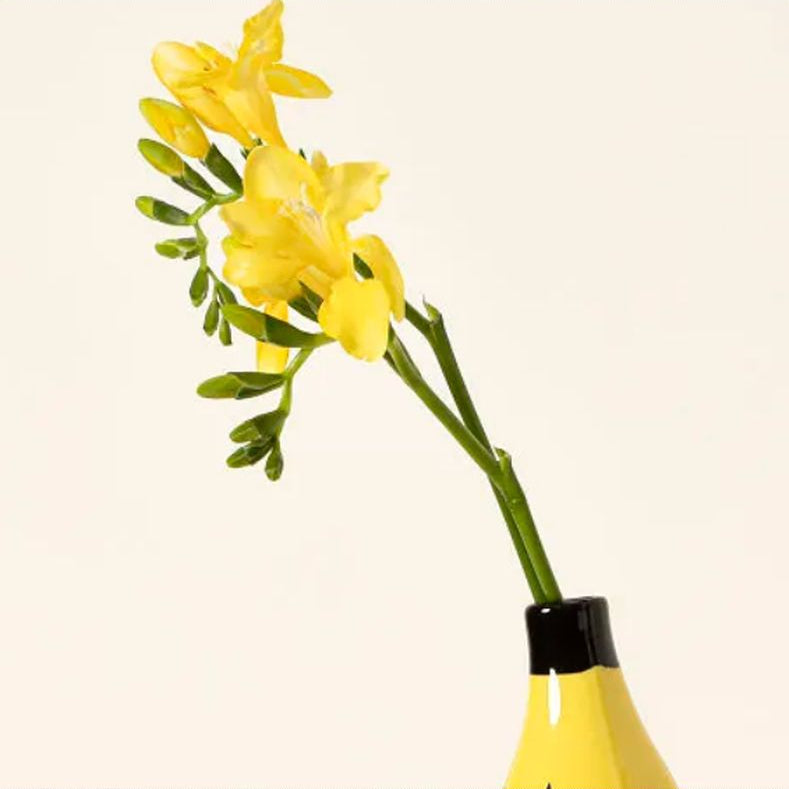 Modern Creative Banana Vase Flower Holder – Stylish Home Decor Centerpiece