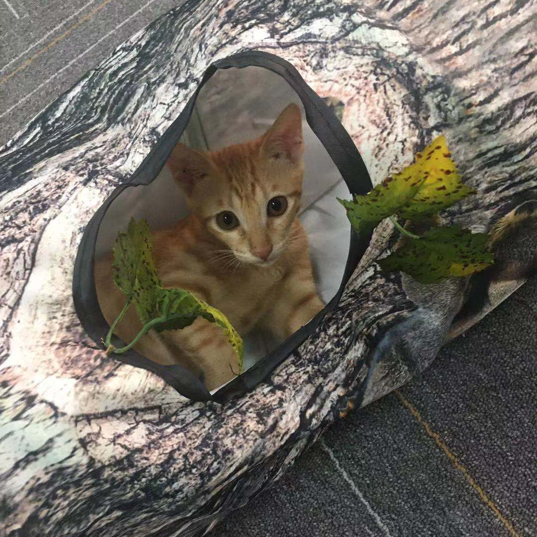 Interactive Pet Tunnel Toy – Tree Pattern Play Tube for Cats & Dogs