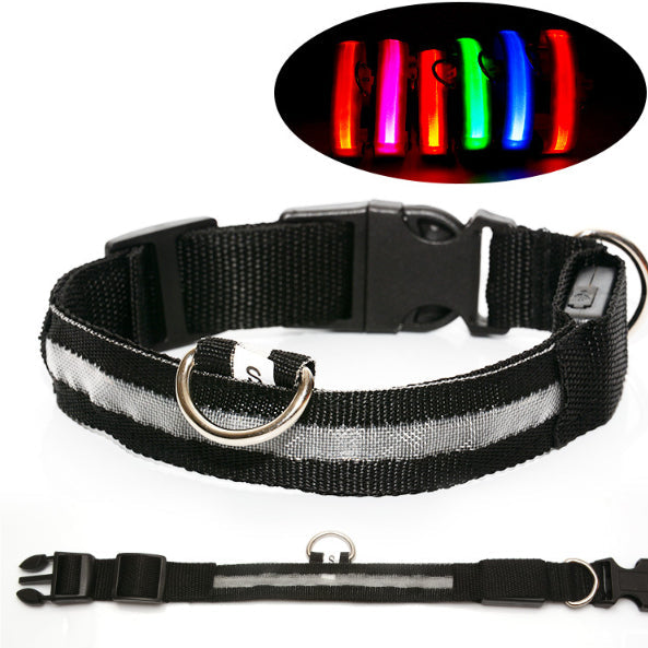 LED Dog Collar for Night Safety | USB Rechargeable Glow in Dark Pet Collar